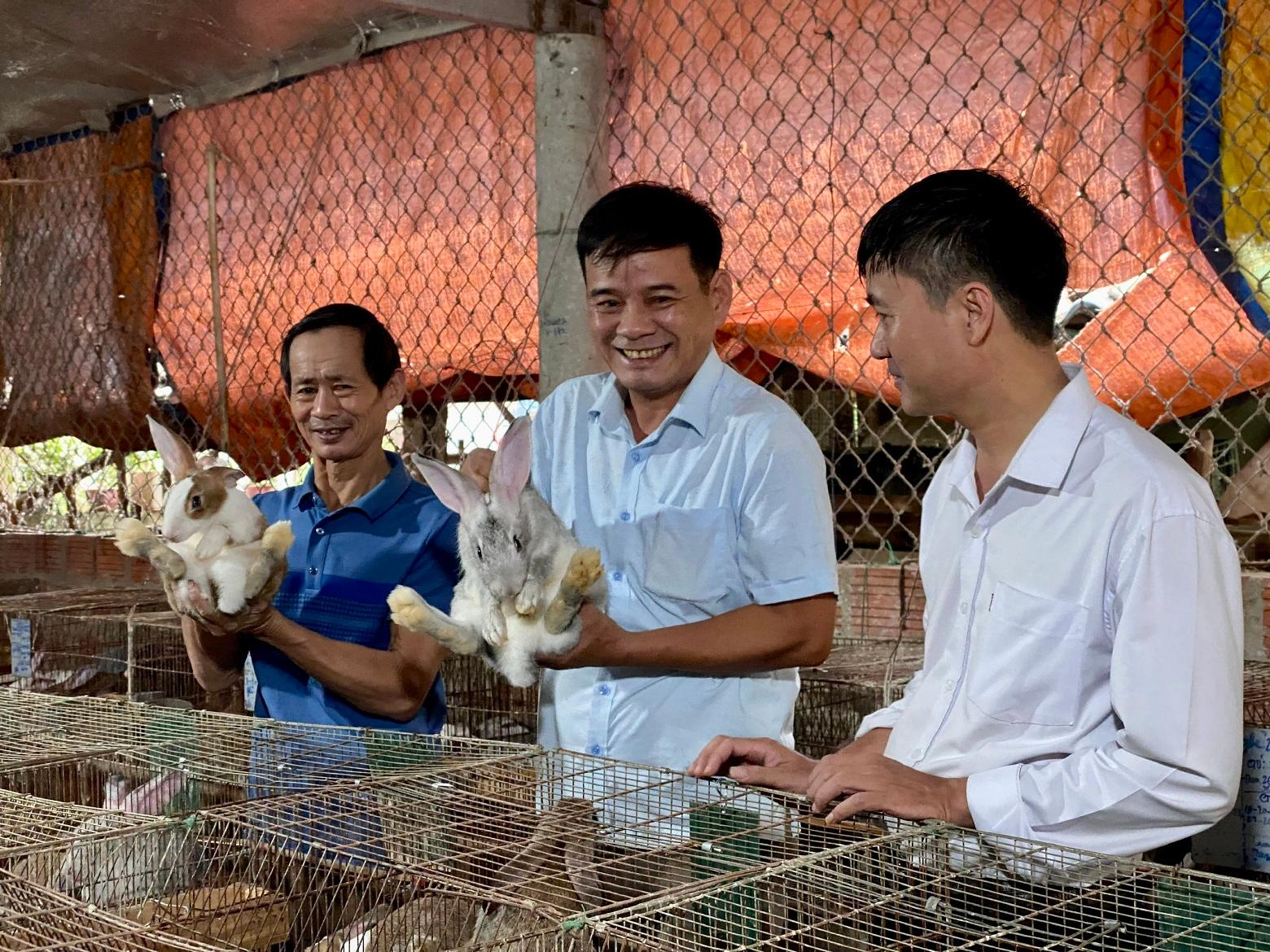 Thị xã Quảng Trị: Thu nhập ổn định nhờ nuôi thỏ